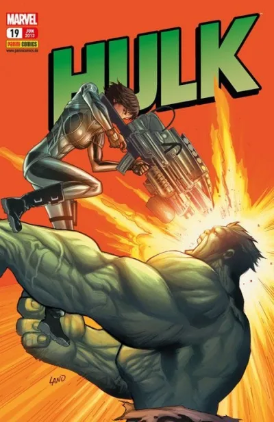 Cover: Hulk (2008) #19
