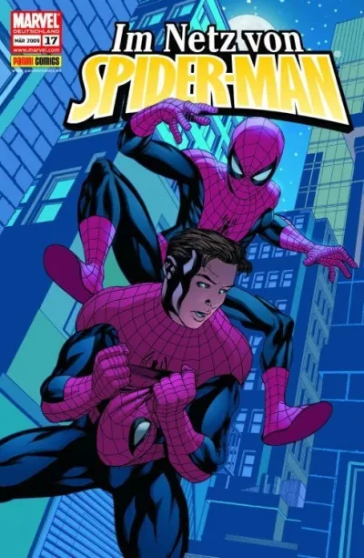 Cover: Im Netz von Spider-Man (2006) #17